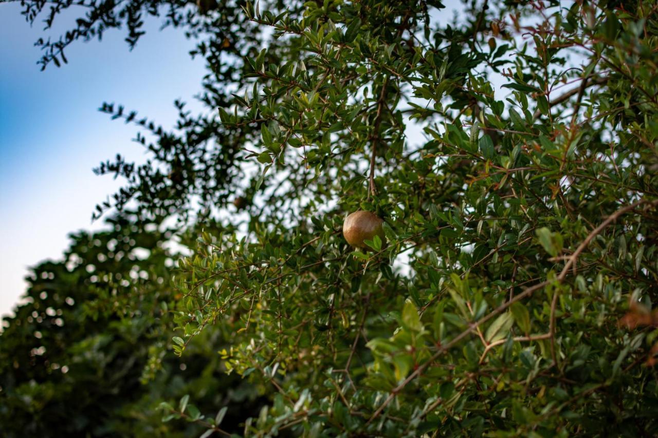 Antica Casina B&B Di Charme Pulsano Exterior photo