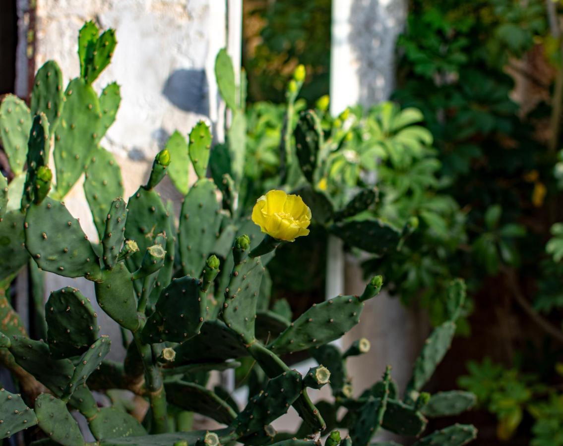 Antica Casina B&B Di Charme Pulsano Exterior photo